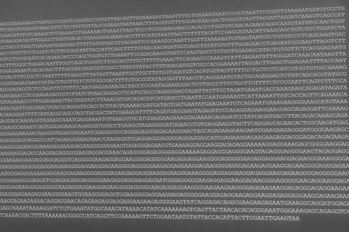 Retinale